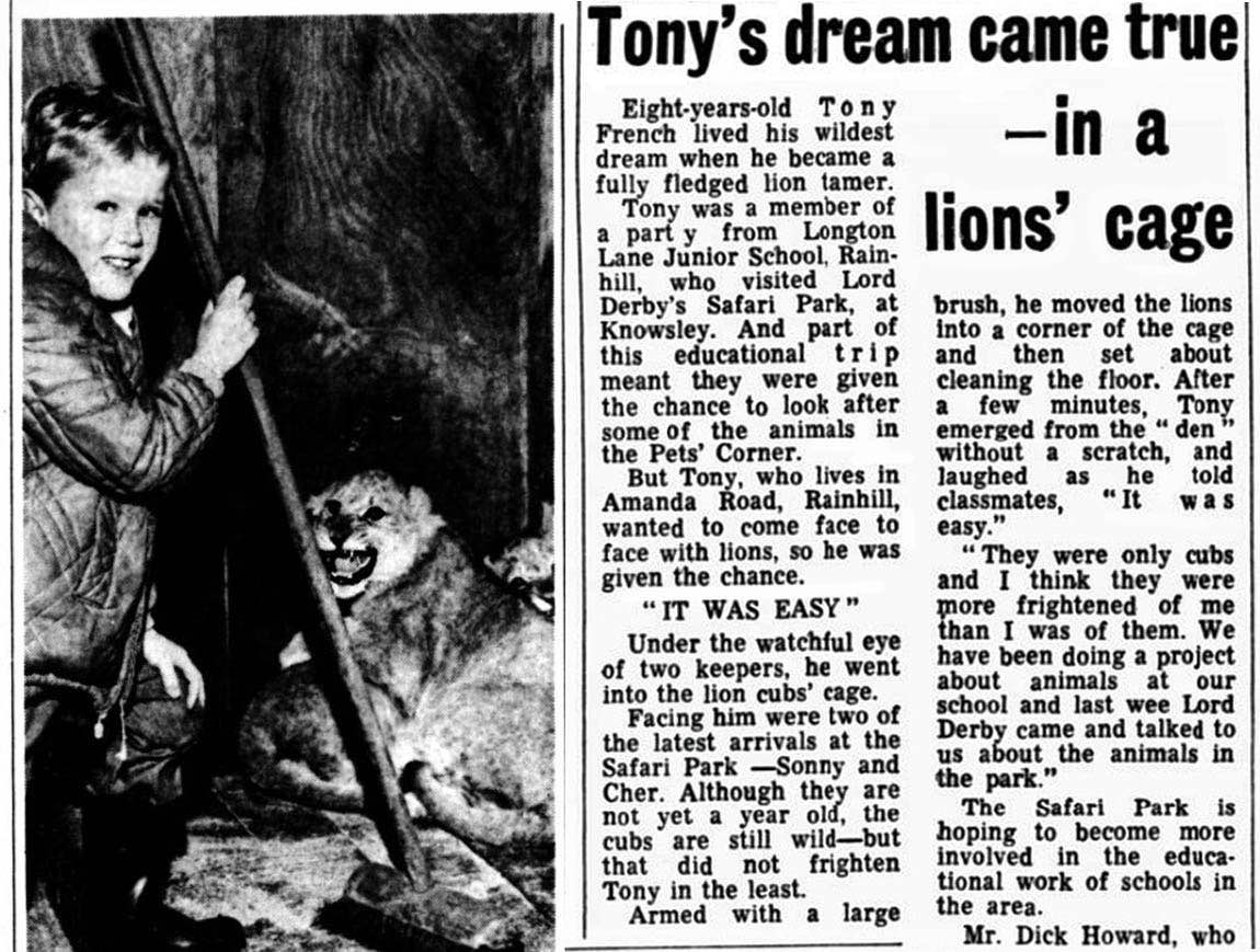 Liverpool Echo article on Rainhill boy lion tamer at Knowsley Safari Park