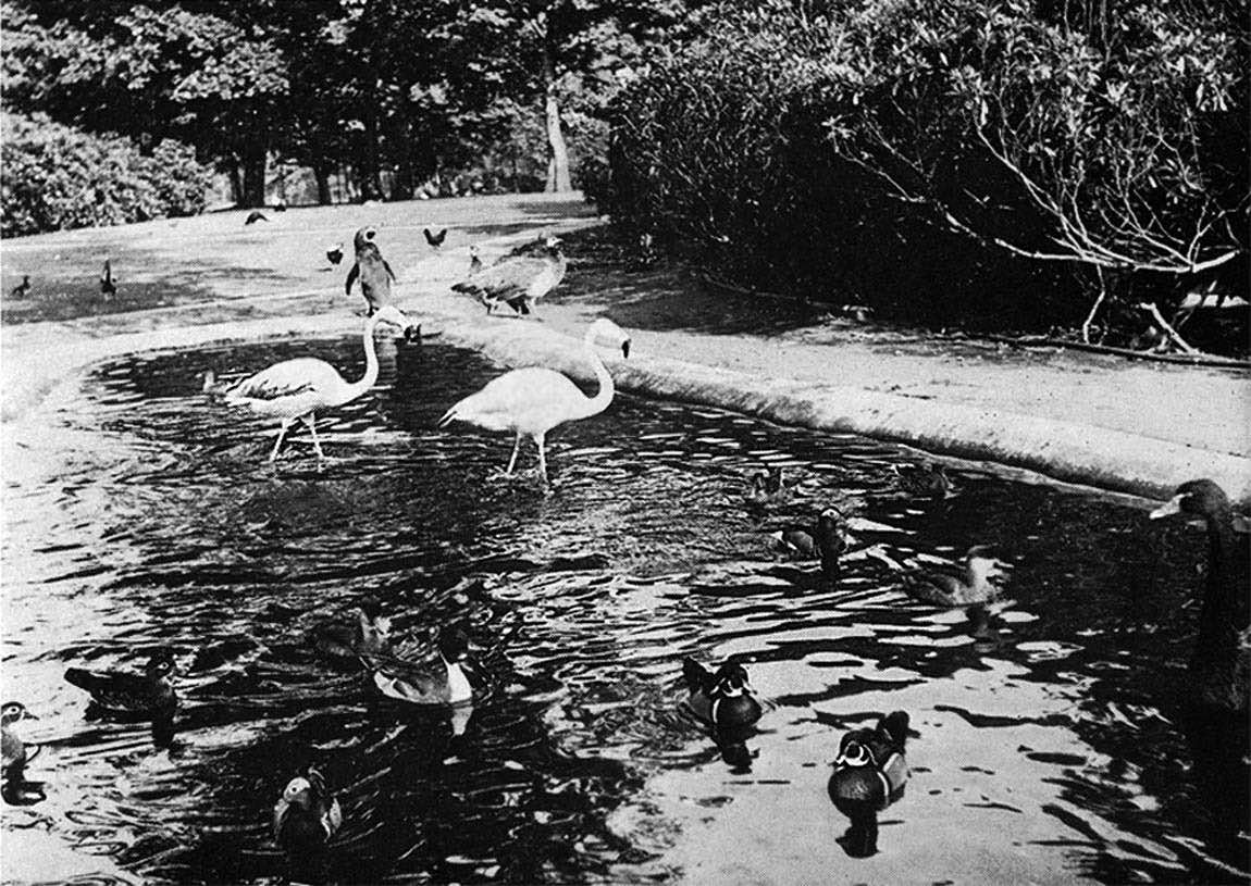 Sherdley Park 1970s, St Helens