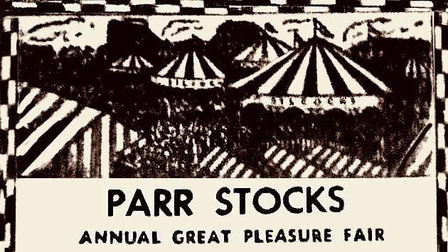 Parr Stocks fair summary